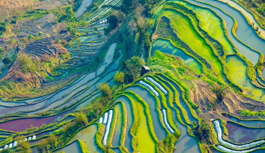 礼县广告片拍摄公司数字技术驱动的广告革命